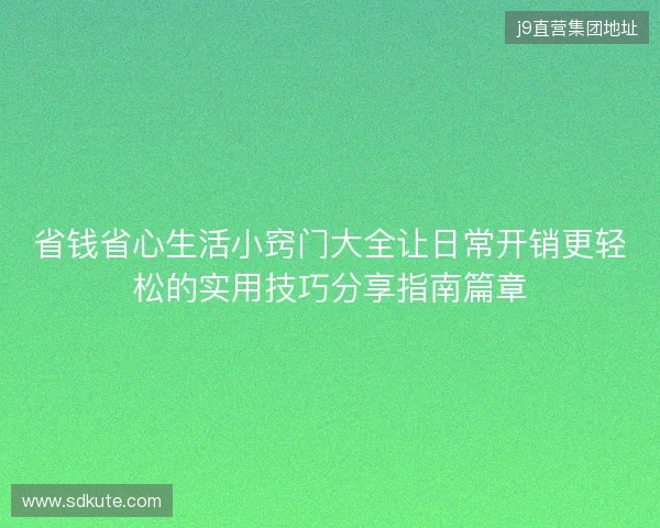 省钱省心生活小窍门大全让日常开销更轻松的实用技巧分享指南篇章