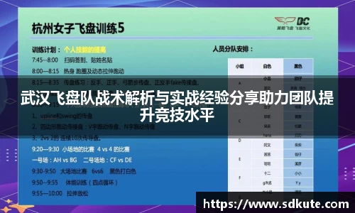武汉飞盘队战术解析与实战经验分享助力团队提升竞技水平